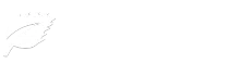 传奇登录器列表